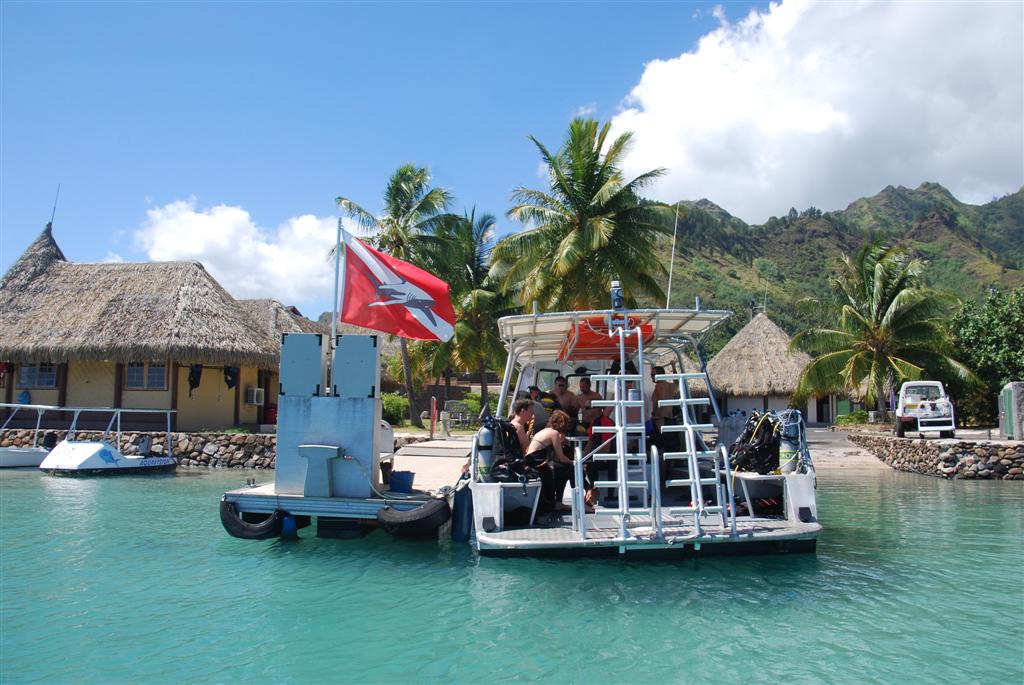 Shore Excursions Adventure With Carnival Cruise Line!